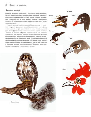 58 Птицы и насекомые
Большие птицы Клювы
Новичкам, возможно, лучше начать с глаза, но это скорее рекоменда-
ция, чем правило. Вы можете оставить зрачок напоследок, для послед-
него штриха, чтобы убедиться, что птица смотрит в нужном направле-
нии. Размещение глаза и зрачка выявляет характер изображенного
пернатого. За ними следуют голова и крылья, после идут хвост, грудка,
лапки с коготками.
Решите, насколько подробно ваше изображение птицы - с опере-
нием и окраской грудки, как у сапсана (срисованного с фотографии),
или в эскизной манере, как свирепого, но слегка глупо выглядящего
орла. Здесь эффект создается сочетанием «влажных и сухих» мазков со
«светлыми и темными». Обратите внимание на то, как сочетание
живописного поля и бумаги помогает создать впечатление большого
количества перьев. Чтобы создать по настоящему хороший рисунок,
сходите несколько раз понаблюдать за тем, как птицы передвигаются и
прихорашиваются (например, в зоопарк). Эти хищные птицы, наряду с
совами и им подобными, часто изображаются сами по себе или рядом
с чем-нибудь прочным, например с сосной. Меньших и более хоро-
шеньких пташек рисуют в композиции с цветами.
Майна Утка
Птенец
Орел
Петух
Сапсан(сокол)
 