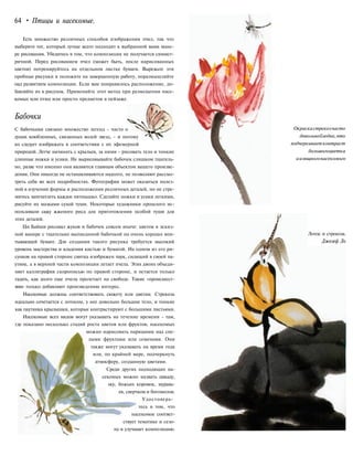 64 • Птицы и насекомые.
Есть множество различных способов изображения пчел, так что
выберите тот, который лучше всего подходит к выбранной вами мане-
ре рисования. Убедитесь в том, что композиция не получается симмет-
ричной. Перед рисованием пчел (может быть, после нарисованных
цветов) потренируйтесь на отдельном листке бумаги. Вырежьте эти
пробные рисунки и положите на завершенную работу, поразмышляйте
над развитием композиции. Если вам понравилось расположение, до-
бавляйте их в рисунок. Применяйте этот метод при размещении насе-
комых или птиц или просто предметов в пейзаже.
Бабочки
С бабочками связано множество легенд - часто о
душах влюбленных, связанных волей звезд, - и потому
их следует изображать в соответствии с их эфемерной
природой. Легче начинать с крыльев, за ними - рисовать тело и тонкие
длинные ножки и усики. Не вырисовывайте бабочек слишком тщатель-
но, разве что именно они являются главным объектом вашего произве-
дения. Они никогда не останавливаются надолго, не позволяют рассмо-
треть себя во всех подробностях. Фотография может оказаться полез-
ной в изучении формы и расположения различных деталей, но не стре-
митесь запечатлеть каждое пятнышко. Сделайте ножки и усики легкими,
рисуйте их мазками сухой туши. Некоторые художники прошлого ис-
пользовали сажу жженого риса для приготовления особой туши для
этих деталей.
Ци Байши рисовал жуков и бабочек совсем иначе: цветок в эскиз-
ной манере с тщательно выписанной бабочкой на очень хорошо впи-
тывающей бумаге. Для создания такого рисунка требуется высокий
уровень мастерства и владения кистью и бумагой. На одном из его ри-
сунков на правой стороне свитка изображен паук, сидящий в своей па-
утине, а в верхней части композиции летает пчела. Этих двоих объеди-
няет каллиграфия скорописью по правой стороне, и остается только
гадать, как долго еще пчела пролетает на свободе. Такие «происшест-
вия» только добавляют произведению интерес.
Насекомые должны соответствовать сюжету или цветам. Стрекоза
идеально сочетается с лотосом, у нее довольно большое тело, и тонкие
как паутинка крылышки, которые контрастируют с большими листьями.
Насекомые всех видов могут указывать на течение времени - там,
где показано несколько стадий роста цветов или фруктов, насекомых
можно нарисовать парящими над спе-
лыми фруктами или семенами. Они
также могут указывать на время года
или, по крайней мере, подчеркнуть
атмосферу, созданную цветами.
Среди других подходящих на-
секомых можно назвать цикаду,
осу, божьих коровок, муравь-
ев, сверчков и богомолов.
Удостоверь-
тесь в том, что
насекомое соответ-
ствует тематике и сезо-
ну и улучшает композицию.
Окраскастрекозчасто
довольнобледна,что
подчеркиваетконтраст
большогоцветка
иизящногонасекомого
Лотос и стрекоза.
Джозеф Ло
 