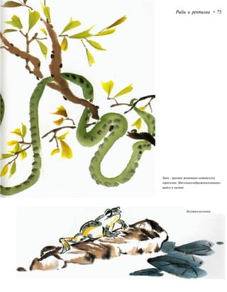 Рыбы и рептилии • 75
Змея - шестое животное китайского
гороскопа.Здесьонаизображенаизвиваю-
щейся в листве
Лягушканакамне
 