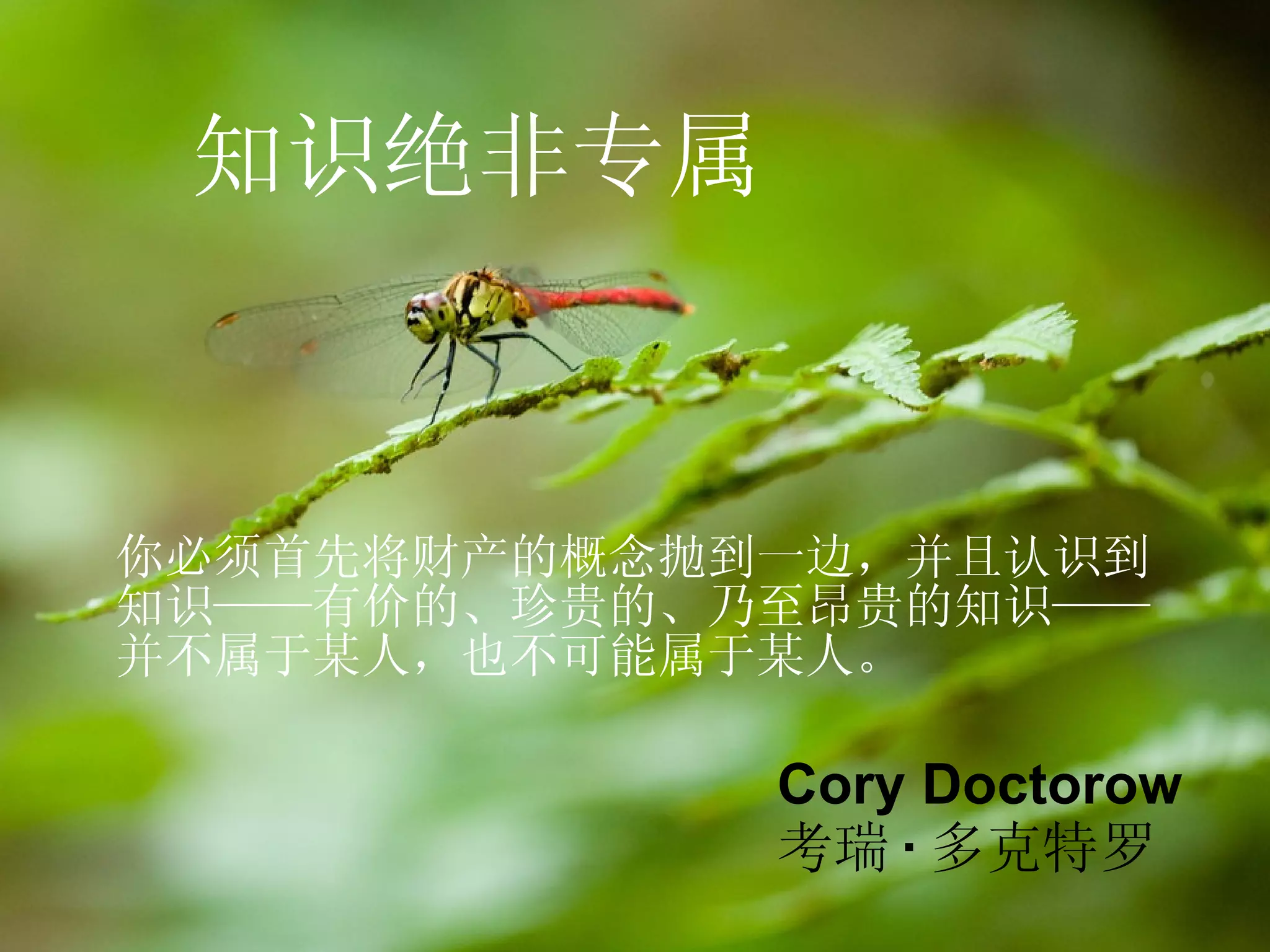 知识绝非专属 你必须首先将财产的概念抛到一边，并且认识到 知识——有价的、珍贵的、乃至昂贵的知识—— 并不属于某人，也不可能属于某人。 Cory Doctorow 考瑞 · 多克特罗 