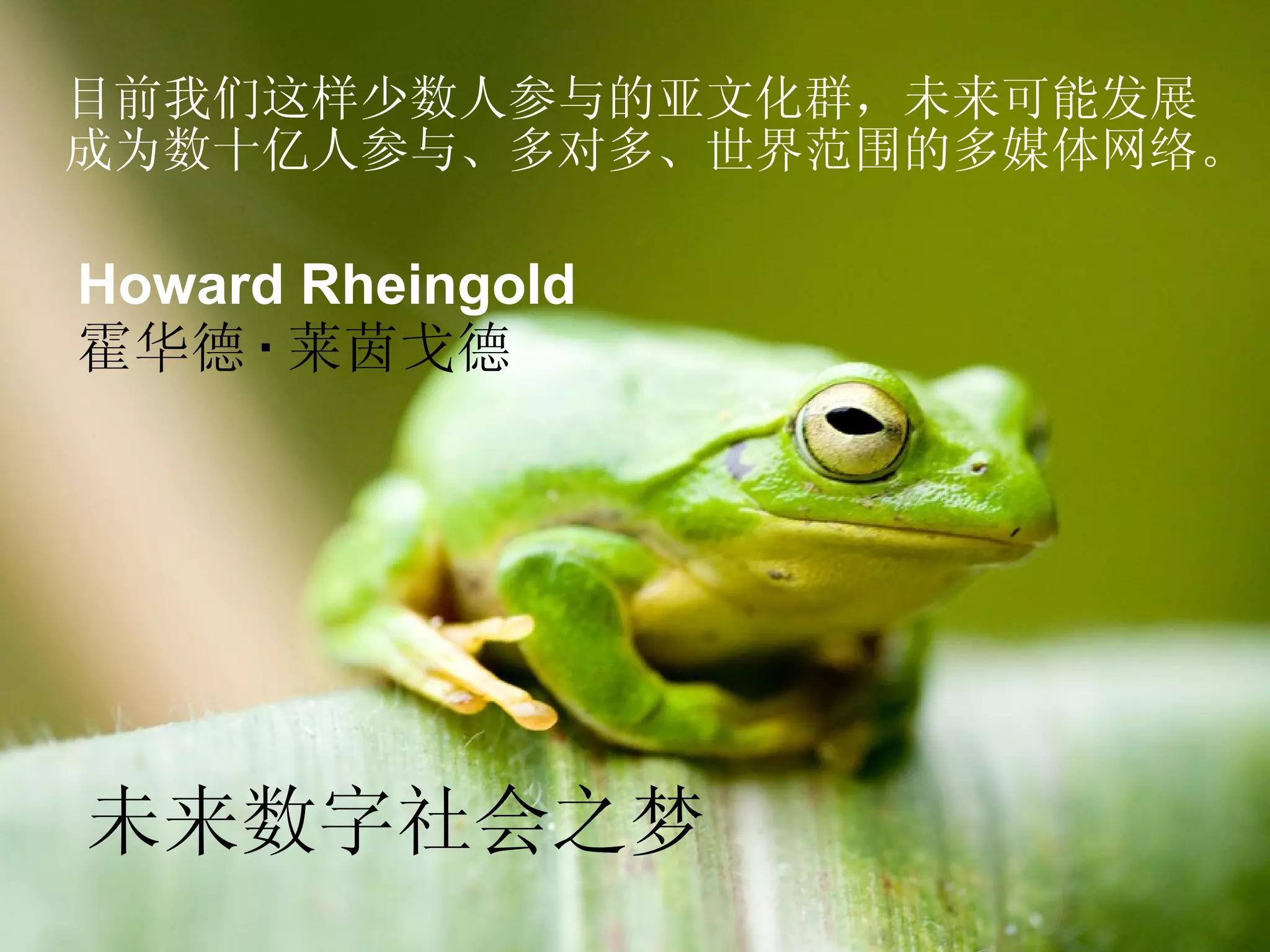 未来数字社会之梦 目前我们这样少数人参与的亚文化群，未来可能发展 成为数十亿人参与、多对多、世界范围的多媒体网络。 Howard Rheingold 霍华德 · 莱茵戈德 