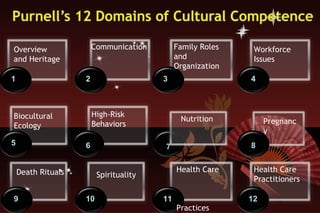12 Health Care Practitioners 4 Workforce Issues 3 Family Roles and Organization 2 Communication 6 High-Risk Behaviors 9 Death Rituals 5 Biocultural Ecology 1 Overview and Heritage 11 Health Care  Practices 10 Spirituality 8 8 7 Nutrition Pregnancy  8 