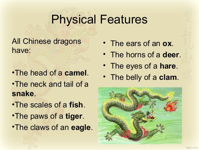 The Dragon Fish By Audrey Chin Summary The Dragon Fish By Audrey Chin Summary