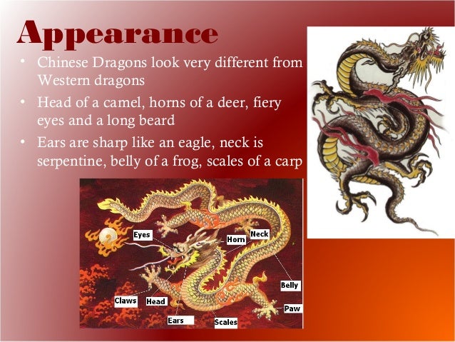 Chinese dragons
