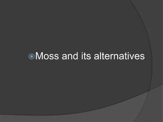 Moss

and its alternatives

 