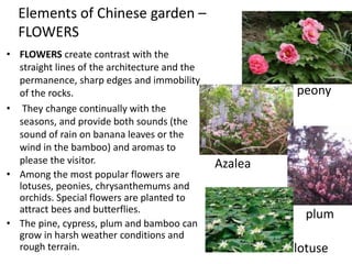 Elements of Chinese garden –
FLOWERS
• FLOWERS create contrast with the
straight lines of the architecture and the
permanence, sharp edges and immobility
of the rocks.
• They change continually with the
seasons, and provide both sounds (the
sound of rain on banana leaves or the
wind in the bamboo) and aromas to
please the visitor.
• Among the most popular flowers are
lotuses, peonies, chrysanthemums and
orchids. Special flowers are planted to
attract bees and butterflies.
• The pine, cypress, plum and bamboo can
grow in harsh weather conditions and
rough terrain.
peony
lotuse
plum
Azalea
 