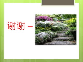 谢谢 – Thank you
 