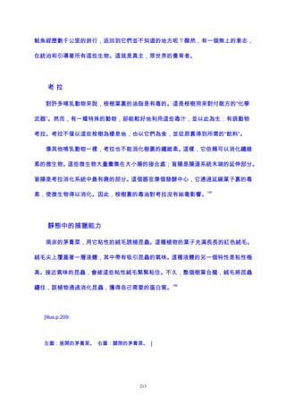 鮭魚經歷數千公里的旅行，返回到它們並不知道的地方呢？顯然，有一個無上的意志，
在統治和引導著所有這些生物。這就是真主，眾世界的養育者。
考 拉
對許多哺乳動物來說，桉樹葉裏的油脂是有毒的。這是桉樹用來對付敵方的“化學
武器”。然而，有一種特殊的動物，卻能較好地利用這些毒汁，並以此為生：有袋動物
考拉。考拉不僅以這些桉樹為棲息地，也以它們為食，並從那裏得到所需的“飲料”。
像其他哺乳動物一樣，考拉也不能消化樹裏的纖維素。這樣，它依賴可以消化纖維
素的微生物。這些微生物大量彙集在大小腸的接合處；盲腸是腸道系統末端的延伸部分。
盲腸是考拉消化系統中最有趣的部分。這個器官像個發酵中心，它通過延緩葉子裏的毒
素，使微生物得以消化。因此，桉樹裏的毒油對考拉沒有絲毫影響。
195
靜態中的捕獵能力
南非的茅膏菜，用它粘性的絨毛誘捕昆蟲。這種植物的葉子充滿長長的紅色絨毛。
絨毛尖上覆蓋著一層液體，其中帶有吸引昆蟲的氣味。這種液體的另一個特性是粘性極
高。接近氣味的昆蟲，會被這些粘性絨毛緊緊粘住。不久，整個樹葉合攏，絨毛將昆蟲
纏住，該植物通過消化昆蟲，獲得自己需要的蛋白質。
196
[illus.p.209:
左圖：展開的茅膏菜。 右圖：關閉的茅膏菜。 ]
213
 