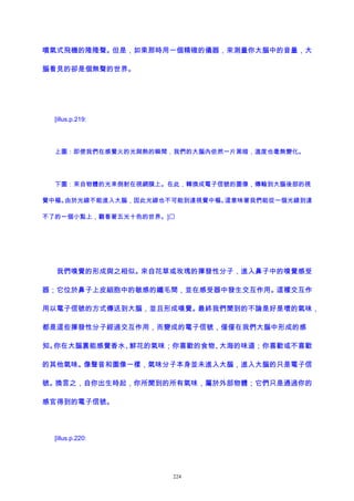 噴氣式飛機的隆隆聲。但是，如果那時用一個精確的儀器，來測量你大腦中的音量，大
腦看見的卻是個無聲的世界。
[illus.p.219:
上圖：即使我們在感覺火的光與熱的瞬間，我們的大腦內依然一片黑暗，溫度也毫無變化。
下圖：來自物體的光束倒射在視網膜上。在此，轉換成電子信號的圖像，傳輸到大腦後部的視
覺中樞。由於光線不能進入大腦，因此光線也不可能到達視覺中樞。這意味著我們能從一個光線到達
不了的一個小點上，觀看著五光十色的世界。]
我們嗅覺的形成與之相似。來自花草或玫瑰的揮發性分子，進入鼻子中的嗅覺感受
器；它位於鼻子上皮細胞中的敏感的纖毛間，並在感受器中發生交互作用。這種交互作
用以電子信號的方式傳送到大腦，並且形成嗅覺。最終我們聞到的不論是好是壞的氣味，
都是這些揮發性分子經過交互作用，而變成的電子信號，僅僅在我們大腦中形成的感
知。你在大腦裏能感覺香水、鮮花的氣味；你喜歡的食物、大海的味道；你喜歡或不喜歡
的其他氣味。像聲音和圖像一樣，氣味分子本身並未進入大腦，進入大腦的只是電子信
號。換言之，自你出生時起，你所聞到的所有氣味，屬於外部物體；它們只是通過你的
感官得到的電子信號。
[illus.p.220:
224
 