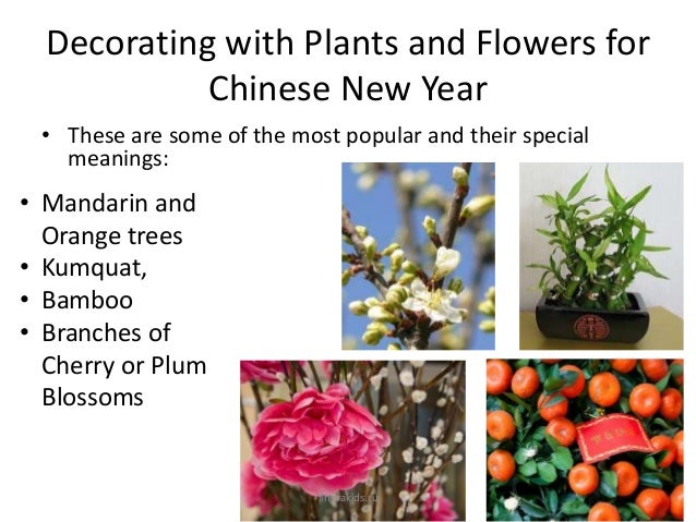 Chinese New Year