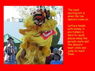 The most
exciting bit is
when the lion
dancers come on.
Lettuce heads
with money in
are hidden in
hard to reach
places along the
parade route and
the dancers
must climb and
jump to reach
them.

 