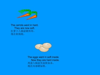 The carrots went in hard. They are now soft. 红萝卜入锅前硬邦邦。 现在软绵绵。 The eggs went in soft inside. Now they are hard inside. 鸡蛋入锅前里面软如水。 现在内部硬如铁。 
