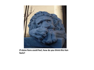 If stone lions could feel, how do you think this lion
feels?
 