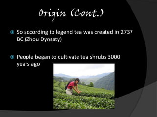 Chinese Tea Culture.ppt