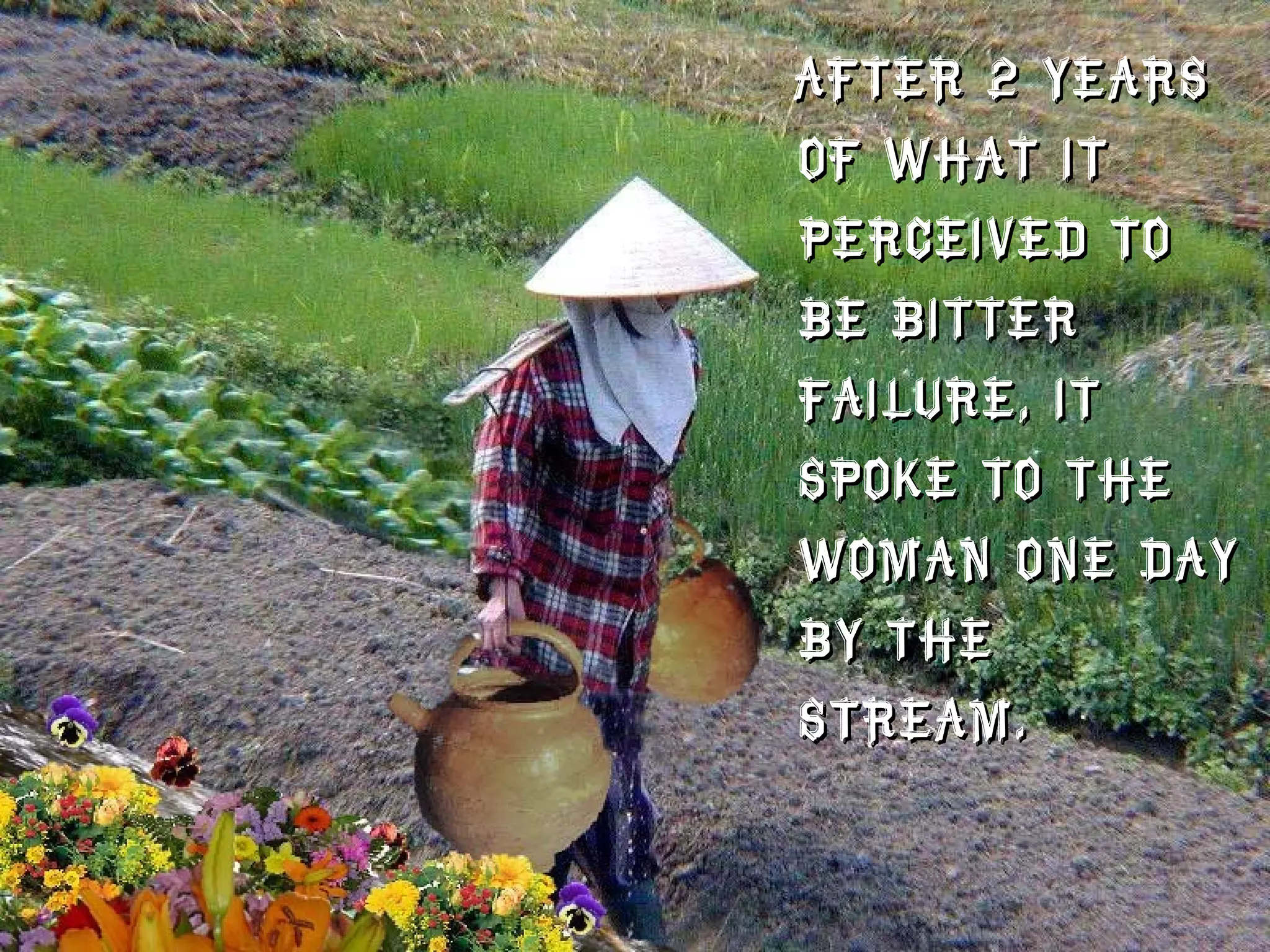 After 2 years of what it perceived to be bitter failure, it spoke to the woman one day by the stream. 