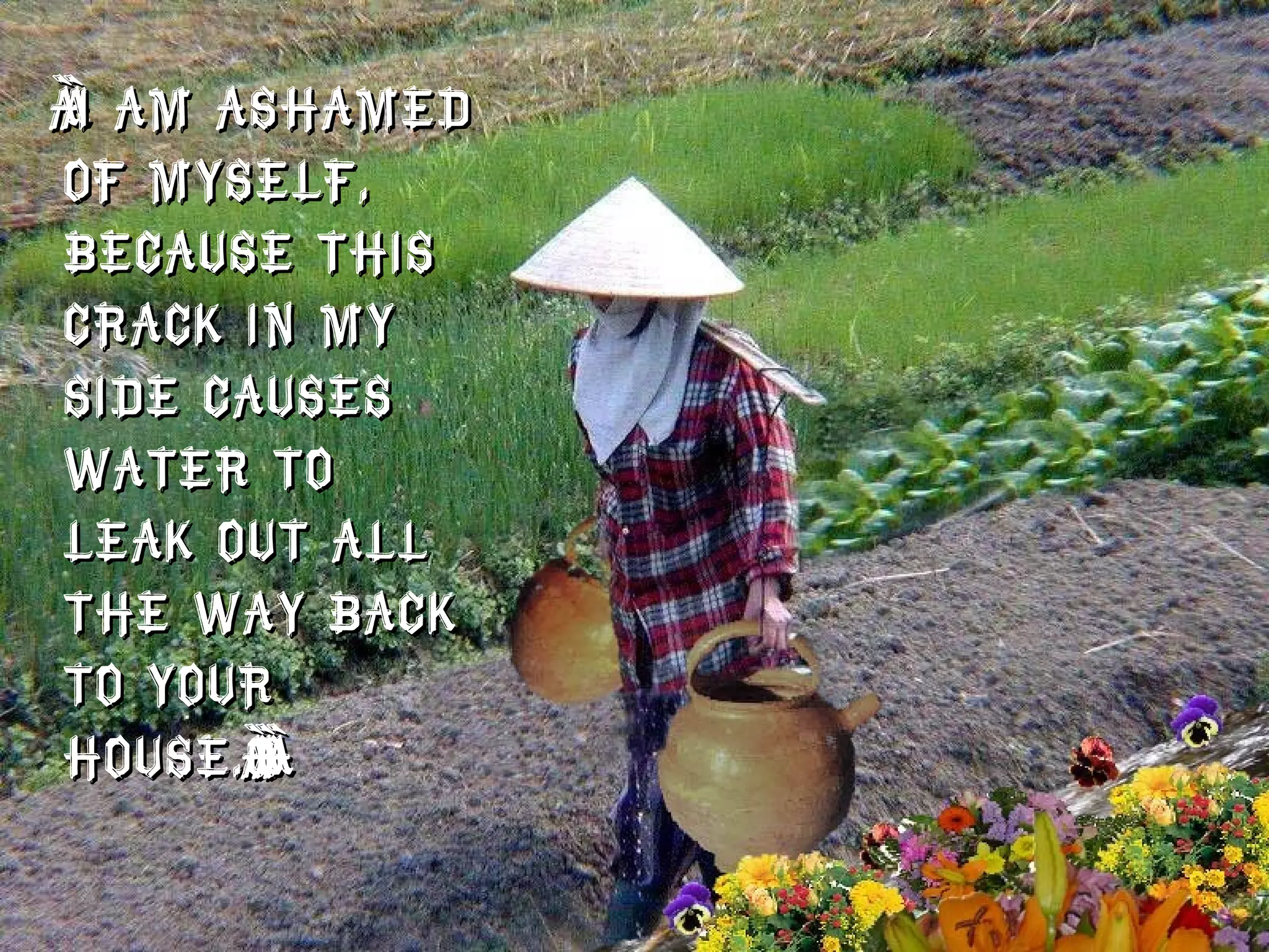 “ I am ashamed of myself, because this crack in my side causes water to leak out all the way back to your house.”  