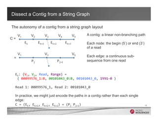Dissect a Contig from a String Graph
The autonomy of a contig from a string graph layout
12
A contig: a linear non-branchi...