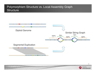 Polymorphism Structure vs. Local Assembly Graph
Structure
14
SNPs
SNPs SNPs
SVsSVs
Diploid Genome
Segmental Duplication
Si...