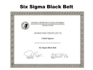 Six Sigma Black Belt 