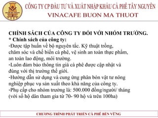 CHÍNH SÁCH CỦA CÔNG TY ĐỐI VỚI NHÓM TRƯỞNG. * Chính sách của công ty: Được tập huấn về bộ nguyên tắc. Kỹ thuật trồng,  chăm sóc và chế biến cà phê, vệ sinh an toàn thực phẩm,  an toàn lao động, môi trường. Luôn đảm bảo thông tin giá cà phê được cập nhật và  đúng với thị trường thế giới. Hướng dẫn sử dụng và cung ứng phân bón vật tư nông  nghiệp phục vụ sản xuất theo khả năng của công ty. Phụ cấp cho nhóm trưởng là: 500.000 đồng/người/ tháng  (với số hộ dân tham gia từ 70- 90 hộ và trên 100ha)   
