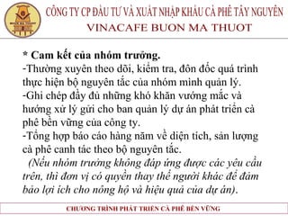 * Cam kết của nhóm trưởng. Thường xuyên theo dõi, kiểm tra, đôn đốc quá trình  thực hiện bộ nguyên tắc của nhóm mình quản lý. Ghi chép đầy đủ những khó khăn vướng mắc và  hướng xử lý gửi cho ban quản lý dự án phát triển cà  phê bền vững của công ty. Tổng hợp báo cáo hàng năm về diện tích, sản lượng  cà phê canh tác theo bộ nguyên tắc. (Nếu nhóm trưởng không đáp ứng được các yêu cầu  trên, thì đơn vị có quyền thay thế người khác để đảm  bảo lợi ích cho nông hộ và hiệu quả của dự án) .   