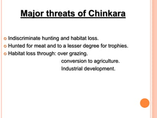 Major threats of Chinkara
 Indiscriminate hunting and habitat loss.
 Hunted for meat and to a lesser degree for trophies.
 Habitat loss through: over grazing.
conversion to agriculture.
Industrial development.
 