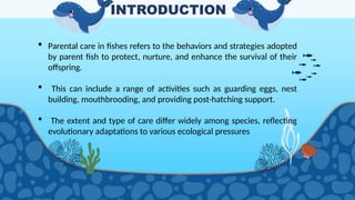 Parental care in Fish : Types of parental care | PPTX