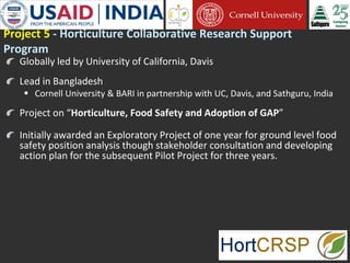 Cornell University and Sathguru Engagement in Agriculture Development In South Asia - 1994 - 2011