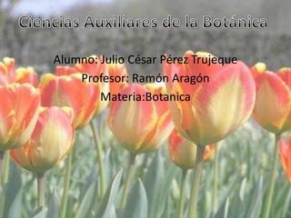 Ciencias Auxiliares de la Botánica  Alumno: Oscar Alberto González Flores Profesor: Ramón Aragón  Materia: Botanica 