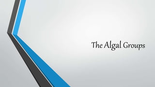 The Algal Groups
 
