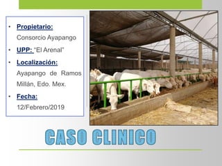 • Propietario:
Consorcio Ayapango
• UPP: “El Arenal”
• Localización:
Ayapango de Ramos
Millán, Edo. Mex.
• Fecha:
12/Febrero/2019
 