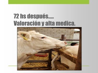 72 hs después…..
Valoración y alta medica.
 