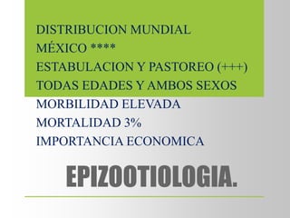EPIZOOTIOLOGIA.
DISTRIBUCION MUNDIAL
MÉXICO ****
ESTABULACION Y PASTOREO (+++)
TODAS EDADES Y AMBOS SEXOS
MORBILIDAD ELEVADA
MORTALIDAD 3%
IMPORTANCIA ECONOMICA
 