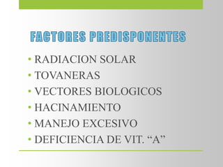 • RADIACION SOLAR
• TOVANERAS
• VECTORES BIOLOGICOS
• HACINAMIENTO
• MANEJO EXCESIVO
• DEFICIENCIA DE VIT. “A”
 