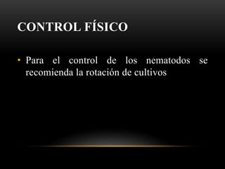 CONTROL FÍSICO
• Para el control de los nematodos se
recomienda la rotación de cultivos
 