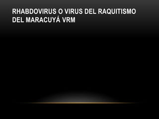 RHABDOVIRUS O VIRUS DEL RAQUITISMO
DEL MARACUYÁ VRM
 