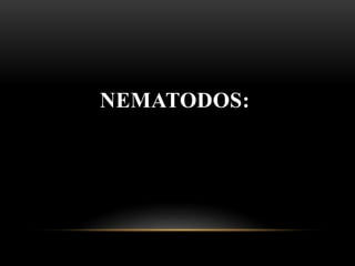 NEMATODOS:
 