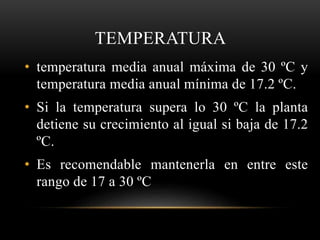TEMPERATURA
• temperatura media anual máxima de 30 ºC y
temperatura media anual mínima de 17.2 ºC.
• Si la temperatura supera lo 30 ºC la planta
detiene su crecimiento al igual si baja de 17.2
ºC.
• Es recomendable mantenerla en entre este
rango de 17 a 30 ºC
 