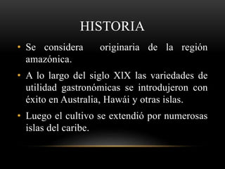 HISTORIA
• Se considera originaria de la región
amazónica.
• A lo largo del siglo XlX las variedades de
utilidad gastronómicas se introdujeron con
éxito en Australia, Hawái y otras islas.
• Luego el cultivo se extendió por numerosas
islas del caribe.
 
