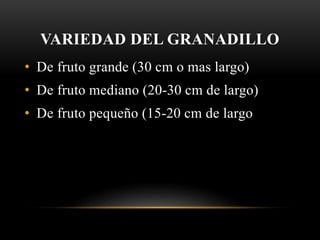VARIEDAD DEL GRANADILLO
• De fruto grande (30 cm o mas largo)
• De fruto mediano (20-30 cm de largo)
• De fruto pequeño (15-20 cm de largo
 