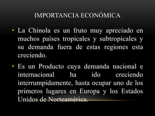 IMPORTANCIA ECONÓMICA
• La Chinola es un fruto muy apreciado en
muchos países tropicales y subtropicales y
su demanda fuera de estas regiones esta
creciendo.
• Es un Producto cuya demanda nacional e
internacional ha ido creciendo
interrumpidamente, hasta ocupar uno de los
primeros lugares en Europa y los Estados
Unidos de Norteamérica.
 