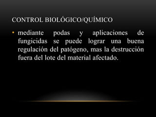 CONTROL BIOLÓGICO/QUÍMICO
• mediante podas y aplicaciones de
fungicidas se puede lograr una buena
regulación del patógeno, mas la destrucción
fuera del lote del material afectado.
 