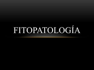 FITOPATOLOGÍA
 