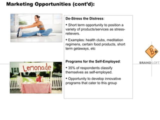 Marketing Opportunities (cont’d): De-Stress the Distress :  Short term opportunity to position a variety of products/services as stress-relievers.  Examples: health clubs, meditation regimens, certain food products, short term getaways, etc Programs for the Self-Employed :  35% of respondents classify themselves as self-employed.  Opportunity to develop innovative programs that cater to this group  