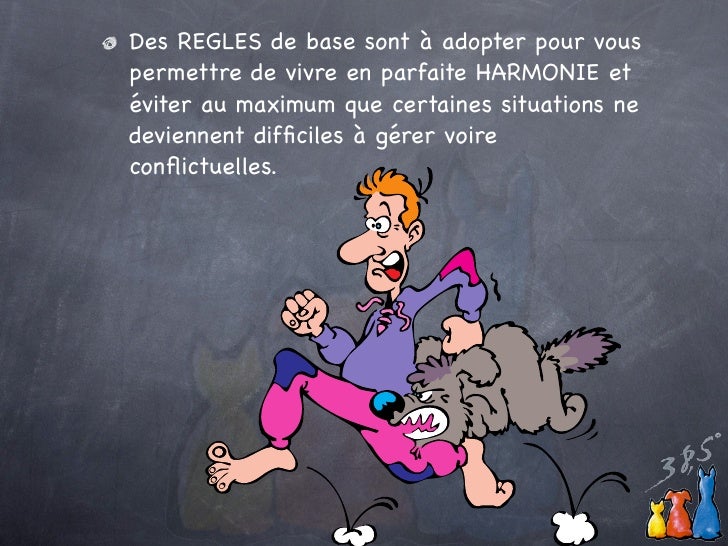 Adopter un chiot Adopter un chiot