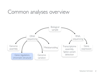Sebastian Schmeier 2
DNA  
sequencing
RNA  
sequencing
Biological
sample
Gene regulation,
chromatin structure
Genome  
variation
Gene
expression
Genome  
assembly
Transcriptome
assembly,
Splice variant
detection
Metabarcoding
Common analyses overview
 