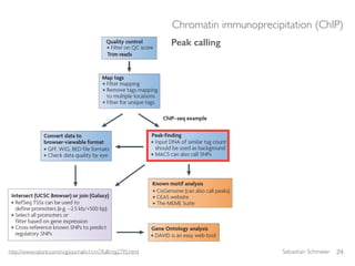 Sebastian Schmeier
Peak calling
24
Chromatin immunoprecipitation (ChIP)
http://www.nature.com/nrg/journal/v11/n7/full/nrg2795.html
 
