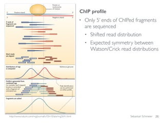 Sebastian Schmeier
• Only 5’ ends of ChIPed fragments
are sequenced
• Shifted read distribution
• Expected symmetry between
Watson/Crick read distributions
26
ChIP proﬁle
http://www.nature.com/nrg/journal/v10/n10/abs/nrg2641.html
 