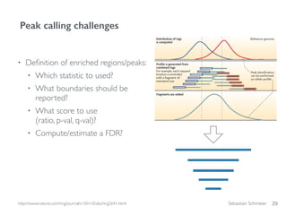 Sebastian Schmeier
• Deﬁnition of enriched regions/peaks:
• Which statistic to used?
• What boundaries should be
reported?
• What score to use  
(ratio, p-val, q-val)?
• Compute/estimate a FDR?
29
Peak calling challenges
http://www.nature.com/nrg/journal/v10/n10/abs/nrg2641.html
 