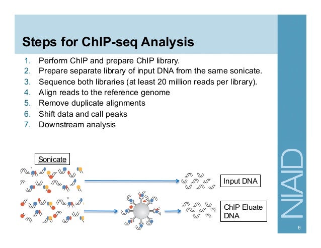 chip seq theory